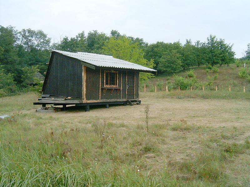 2009.08.23 002.jpg